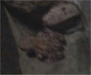 Small toad sitting on step